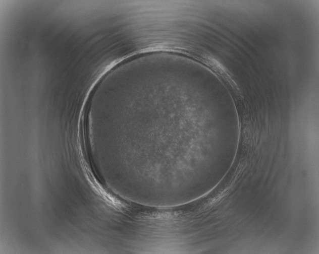 X0000058790892200509301138