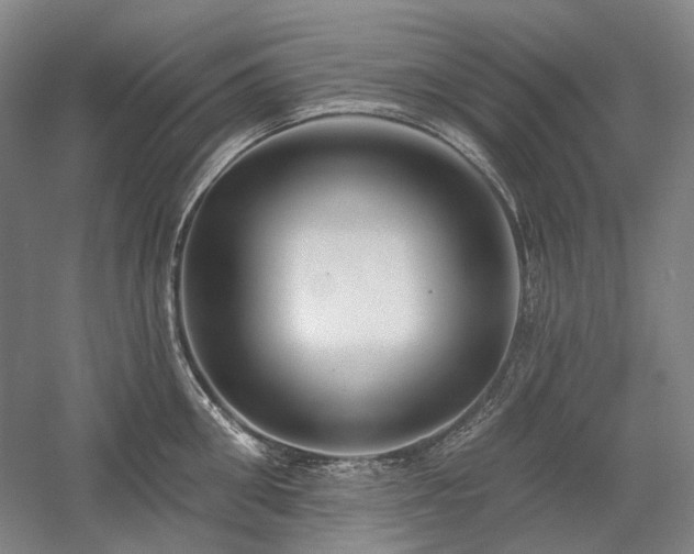 X0000058790906200509301138