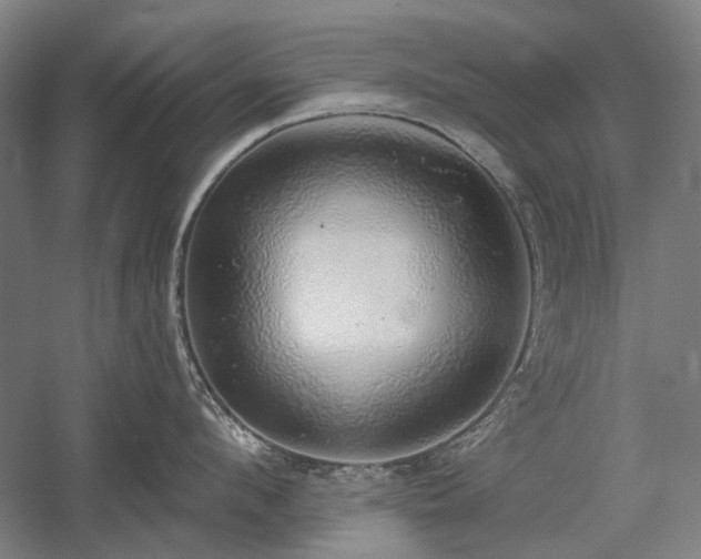X0000058790912200509301138