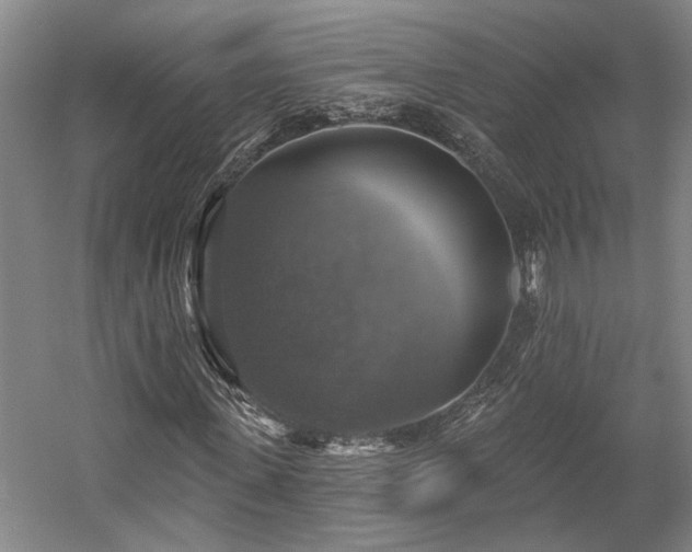 X0000058790915200509301137