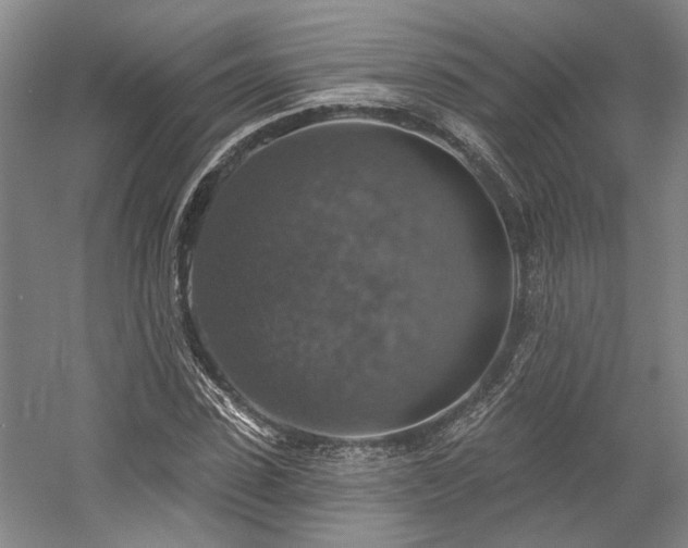 X0000058790923200509301137