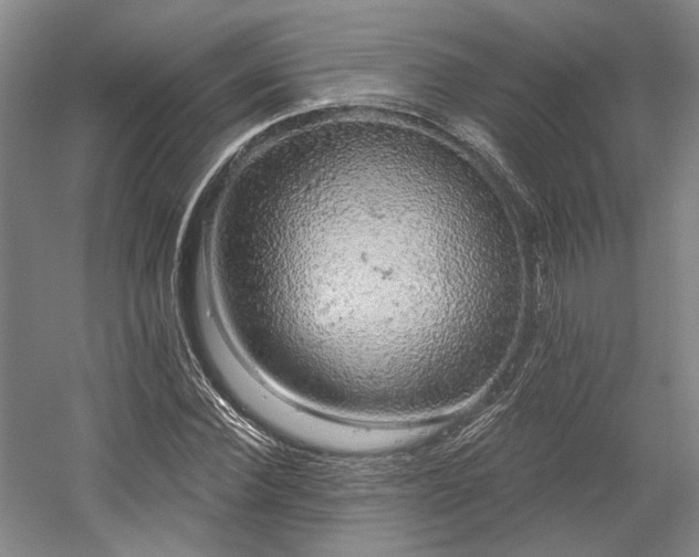 X0000058790924200509301137