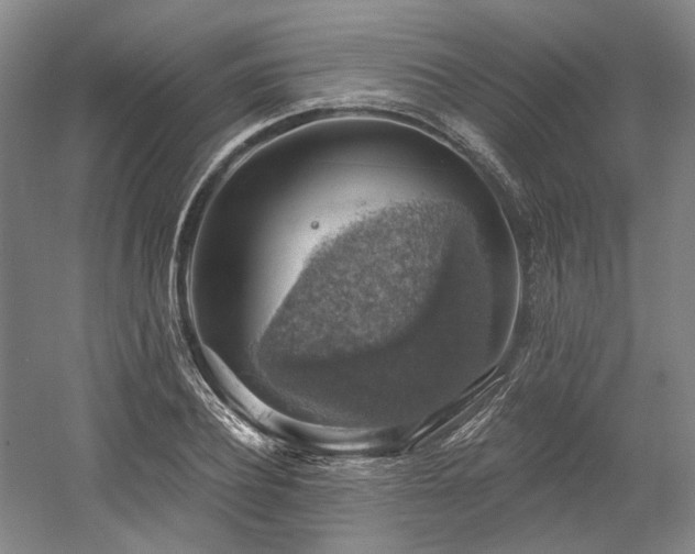 X0000058790932200509301137