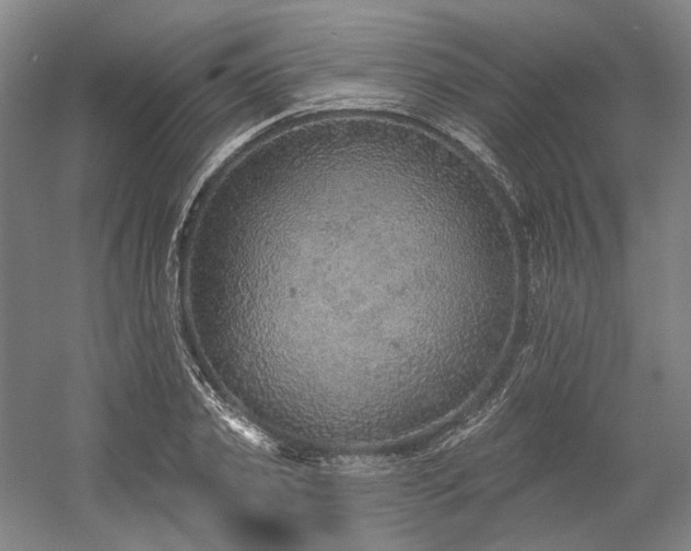 X0000058790933200509301137