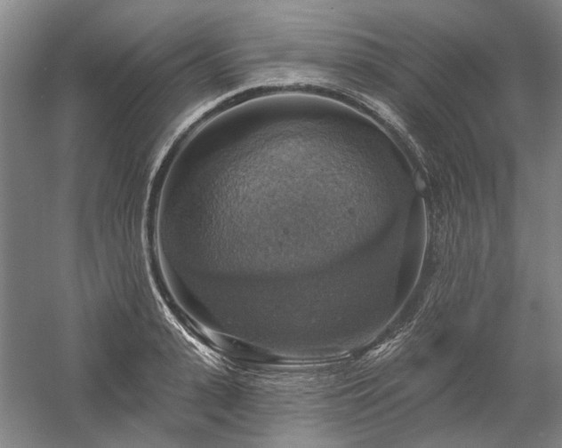 X0000058790943200509301137