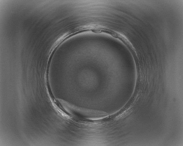 X0000058790946200509301137