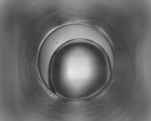 X0000058790948200509301137