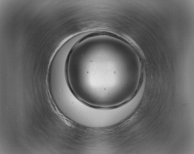 X0000058790956200509301137