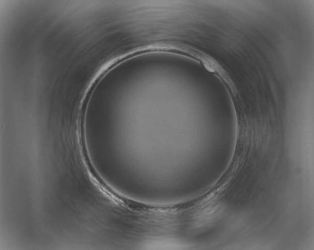 X0000058790958200509301137