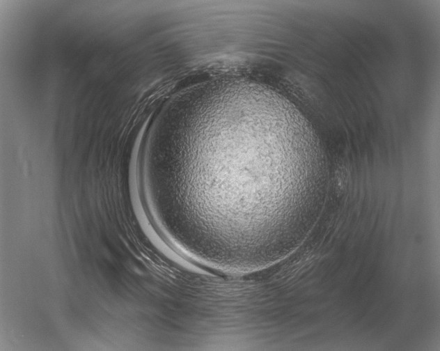 X0000058790964200509301137
