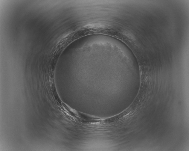 X0000058790966200509301137