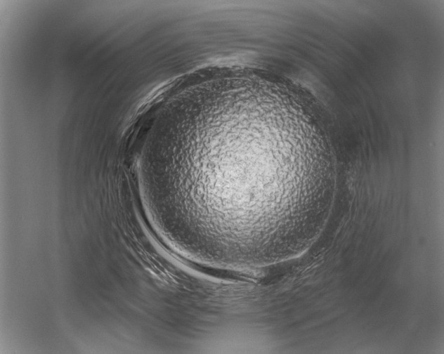X0000058790968200509301137