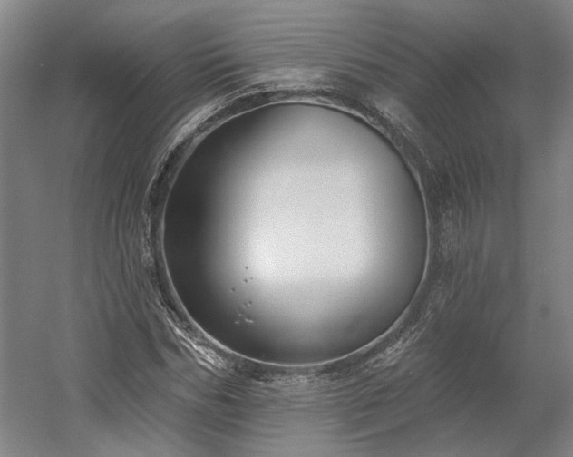 X0000058790970200509301137