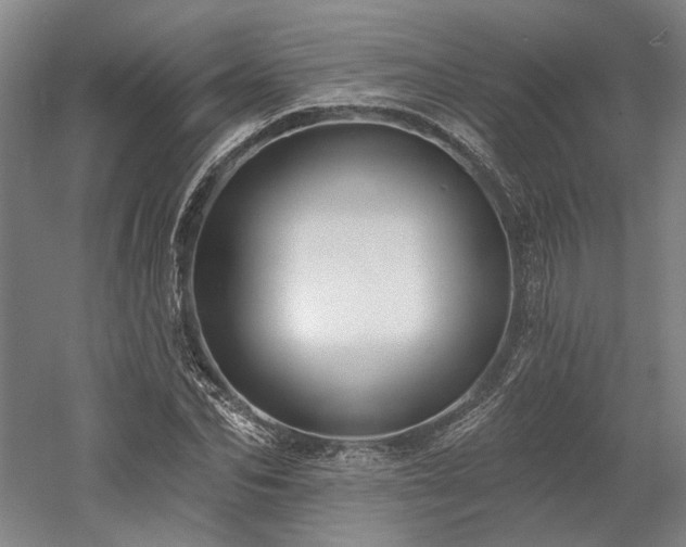X0000058790974200509301136