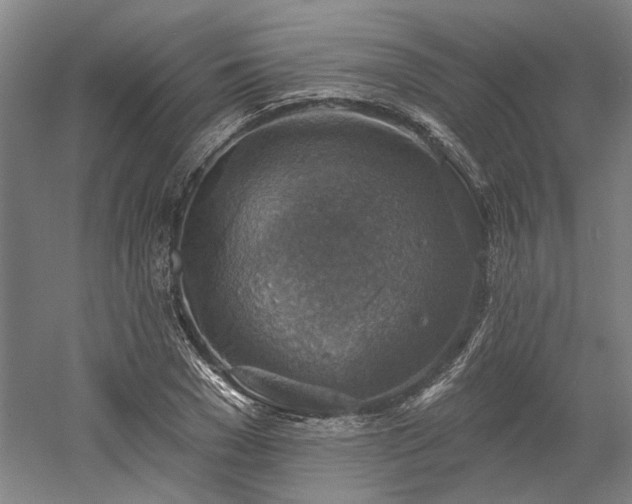 X0000058790977200509301136