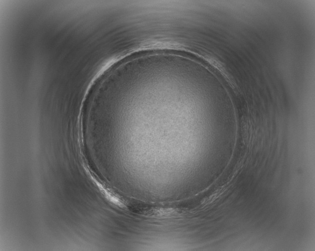 X0000058790982200509301136
