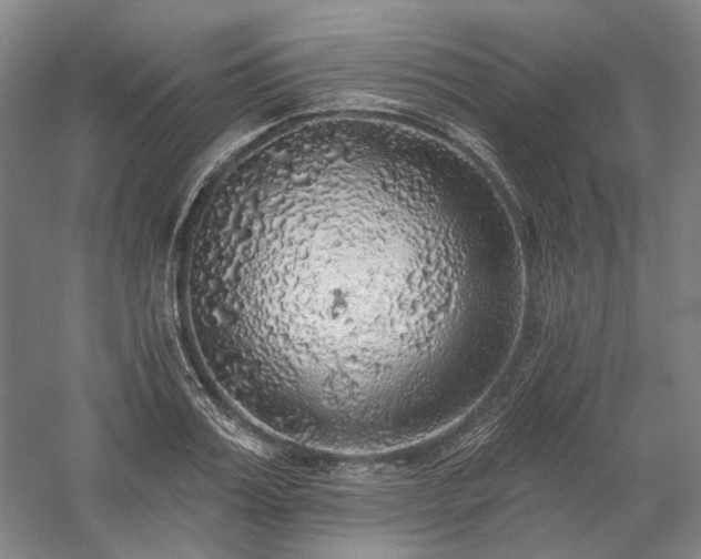 X0000058790987200509301136