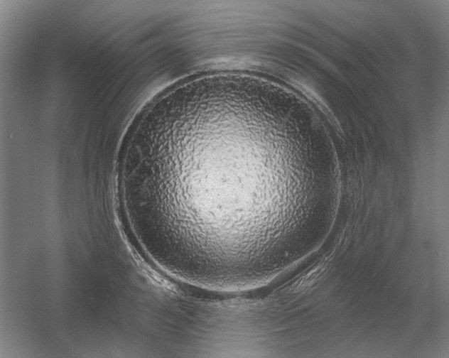 X0000058790992200509301136