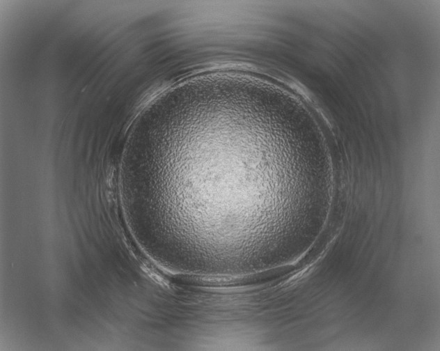 X0000058791001200509301136