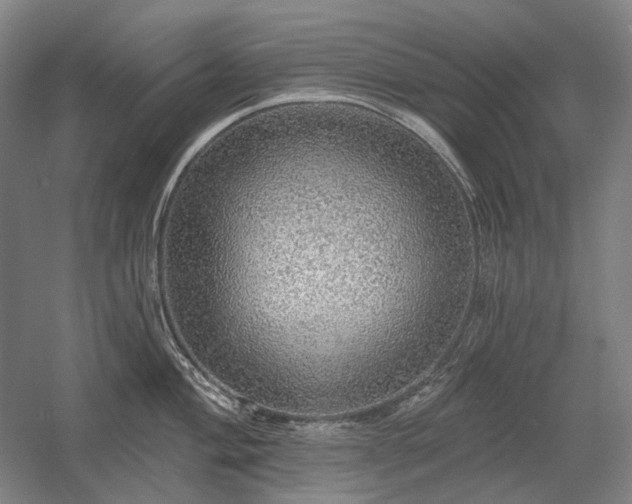X0000058791004200509301136