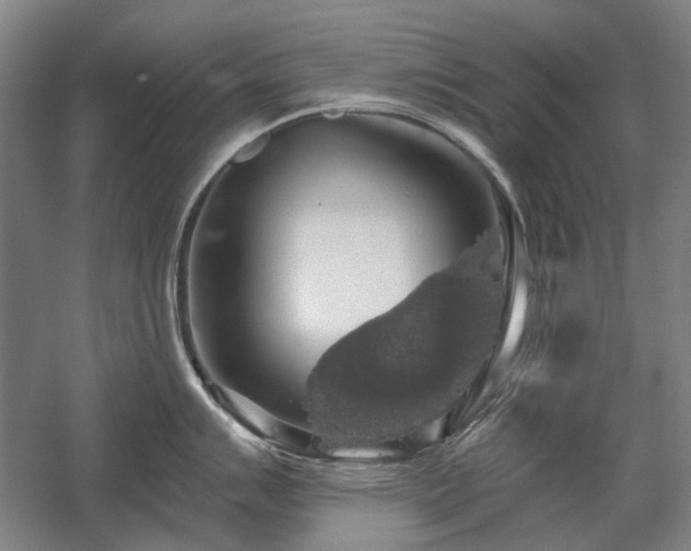 X0000058791007200509301136