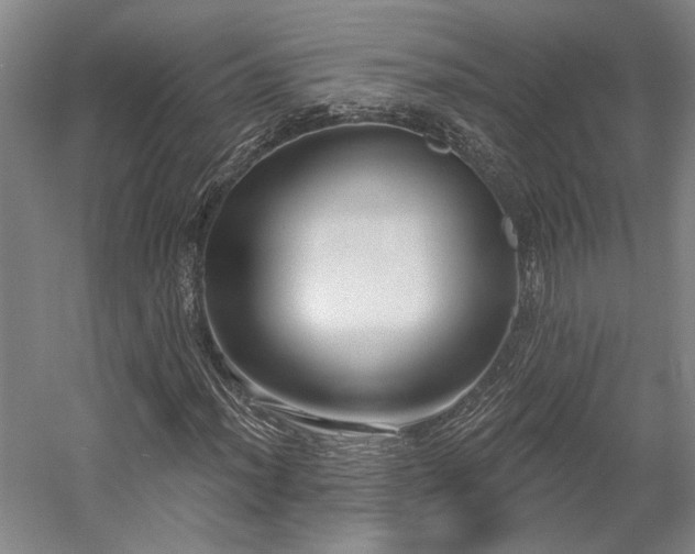 X0000058791012200509301135