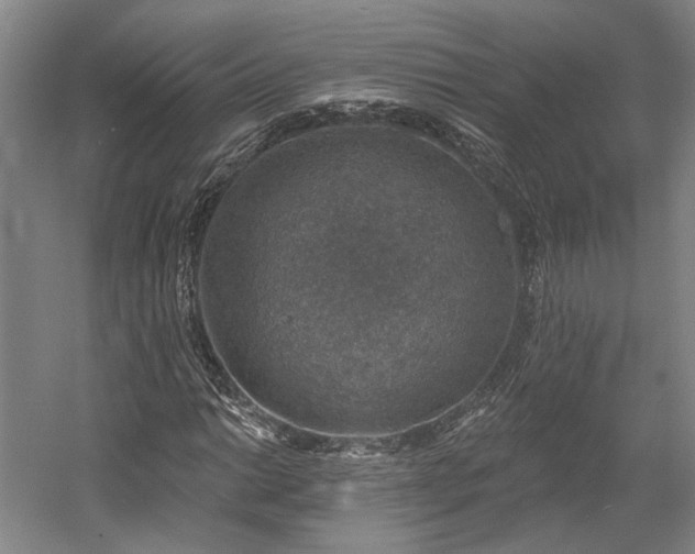X0000058791014200509301135