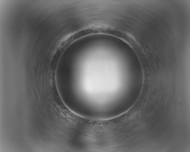 X0000058791016200509301135