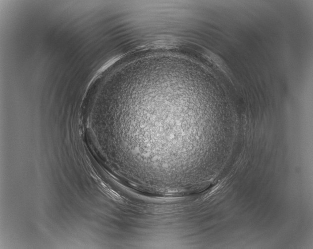 X0000058791018200509301135