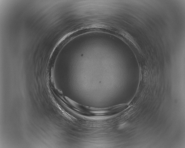 X0000058791024200509301135