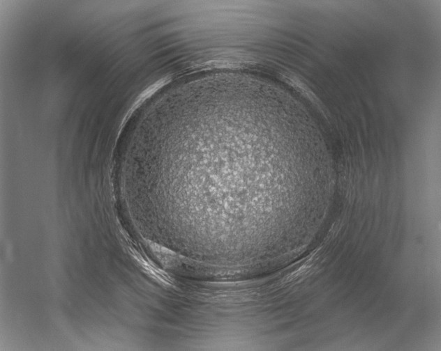 X0000058791026200509301135