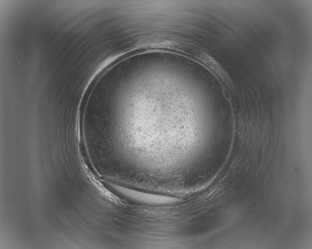 X0000058791036200509301136