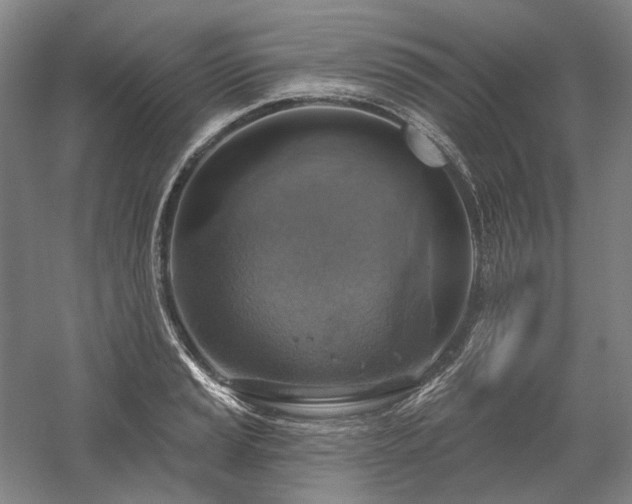 X0000058791037200509301136
