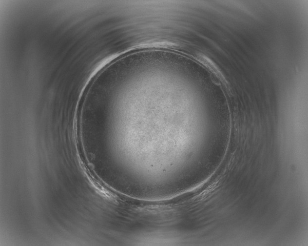 X0000058791044200509301136