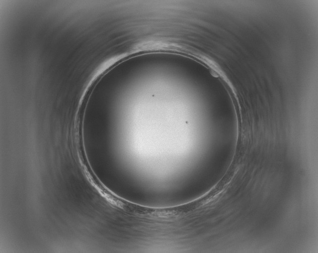 X0000058791053200509301136