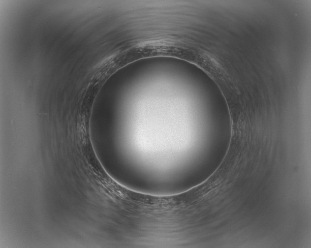 X0000058791062200509301135
