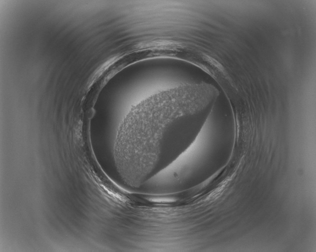 X0000058791066200509301135