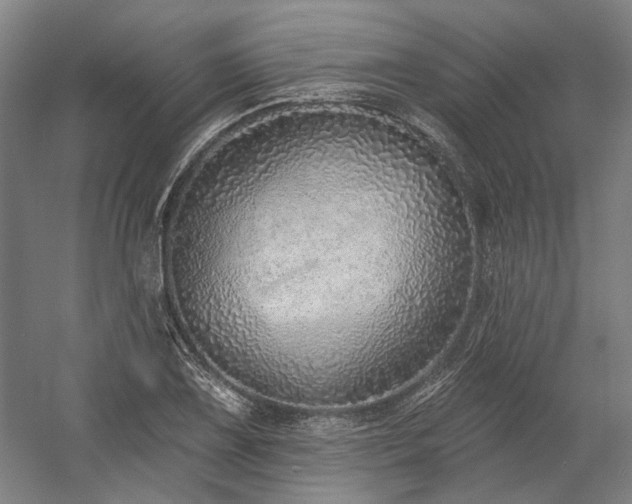 X0000058791075200509301135