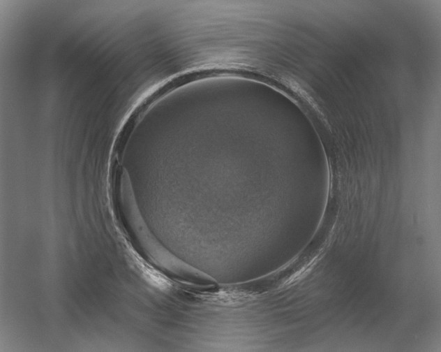 X0000058791077200509301135