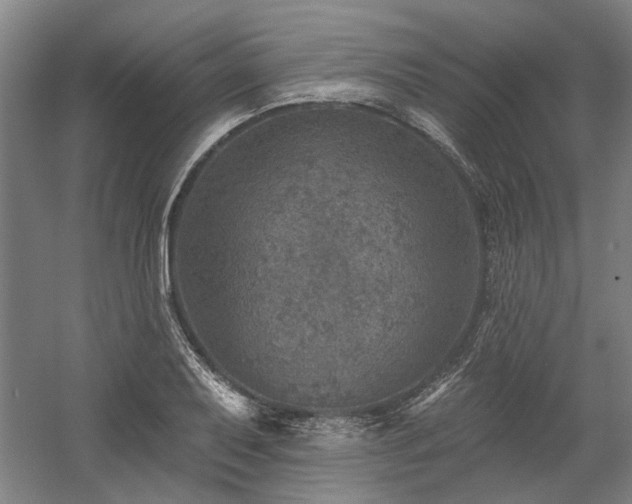 X0000058791079200509301135