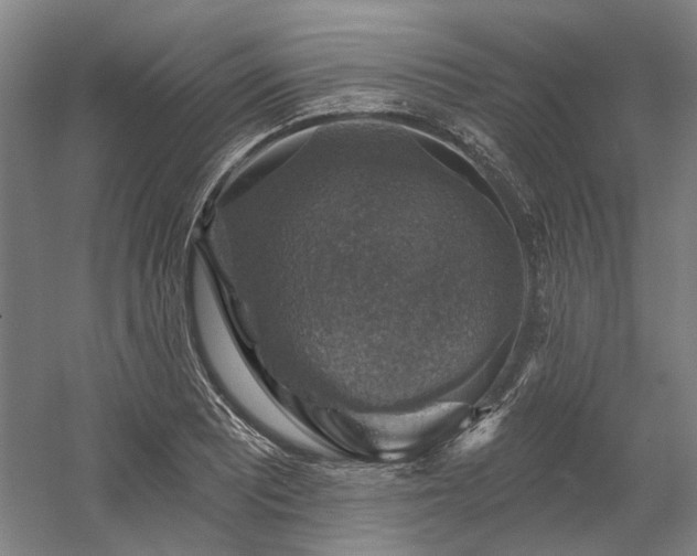 X0000058791081200509301135