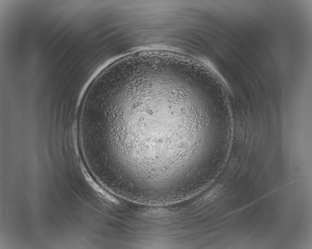 X0000058791100200509301134