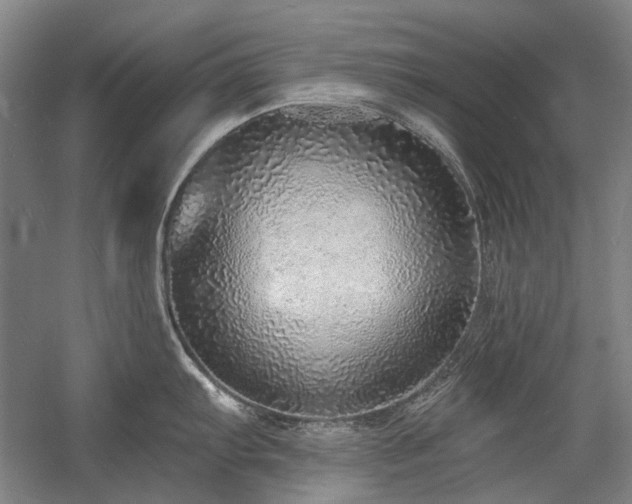 X0000058791103200509301134