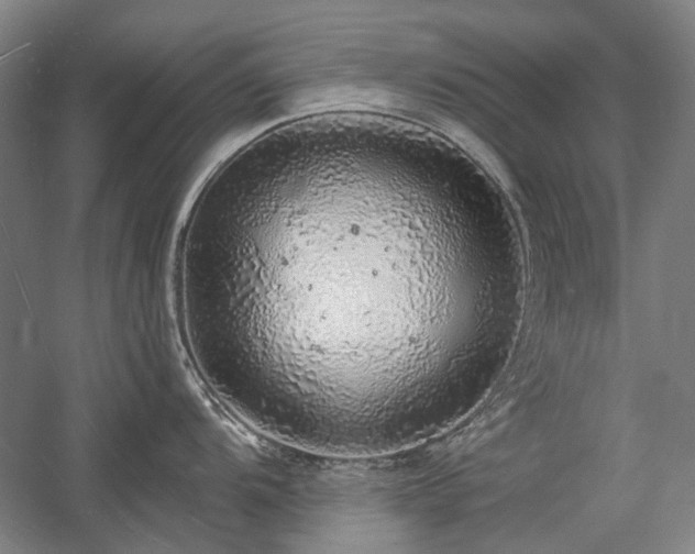 X0000058791104200509301134