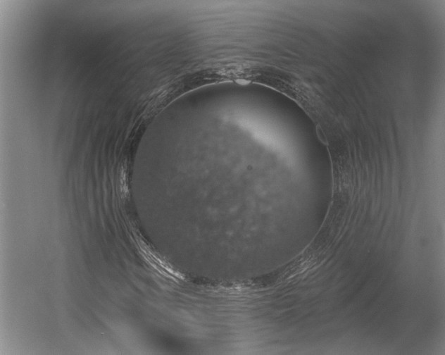 X0000058791106200509301133