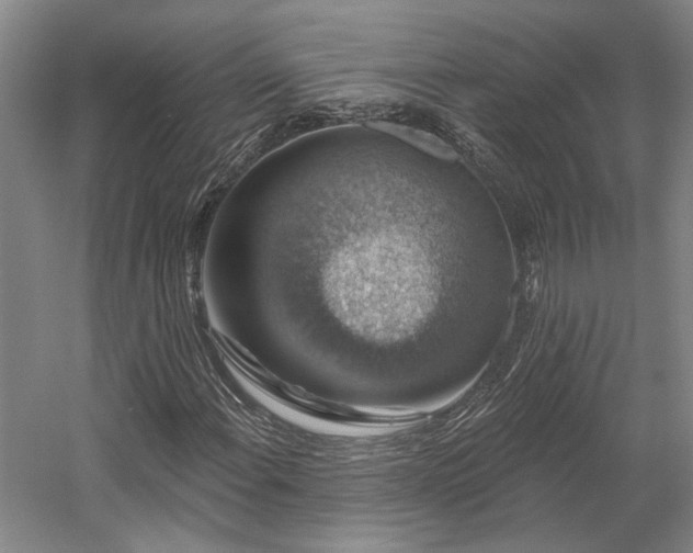X0000058791108200509301133