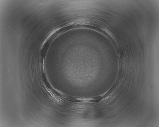 X0000058791115200509301134