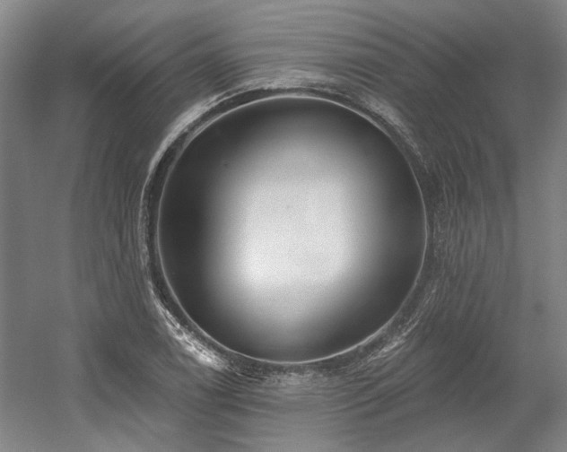 X0000058791122200509301134