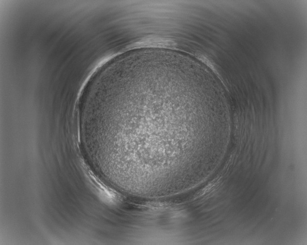 X0000058791123200509301134