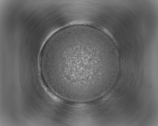 X0000058791124200509301134